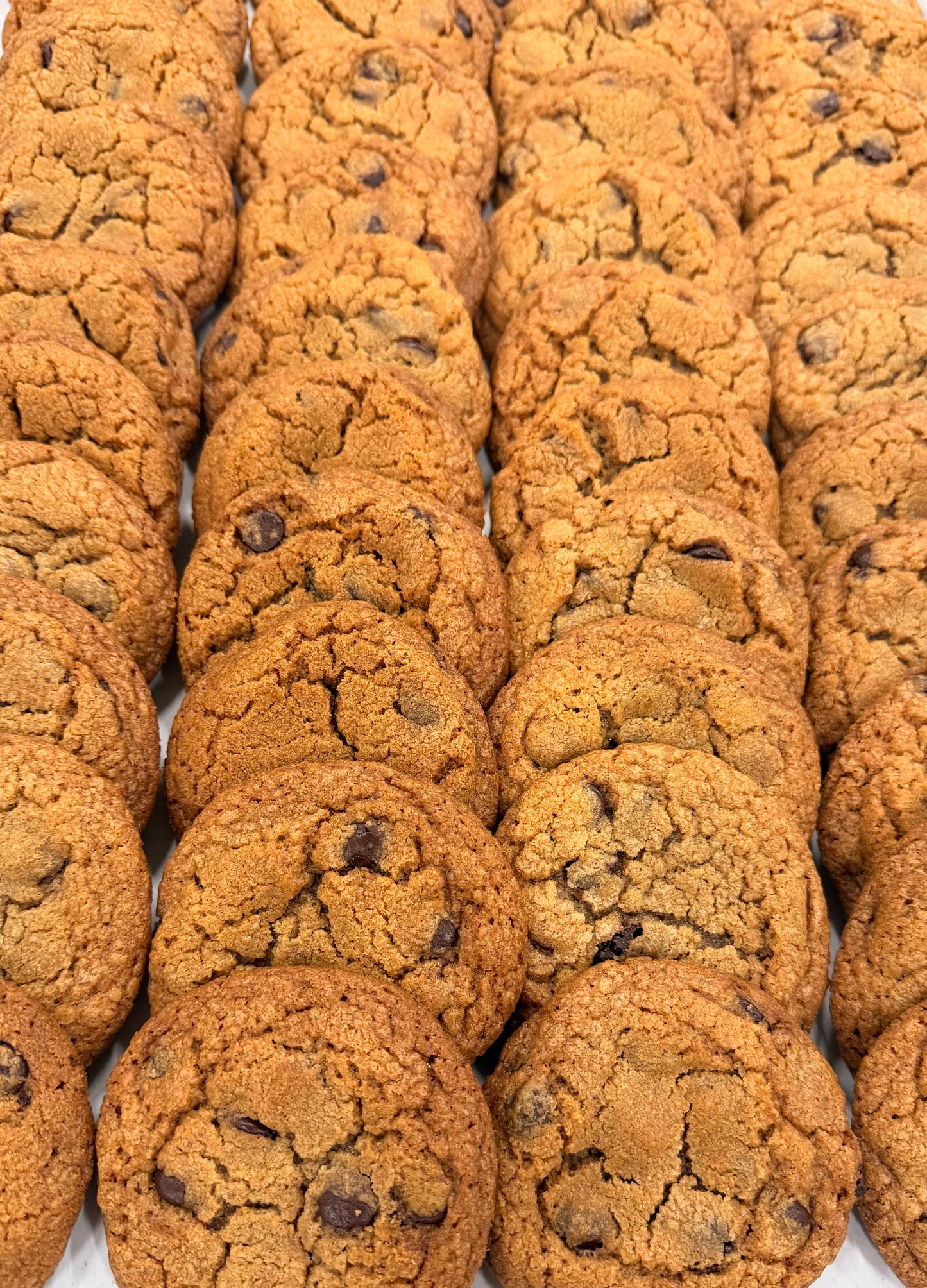 “CHOCOLATE CHIP COOKIES”