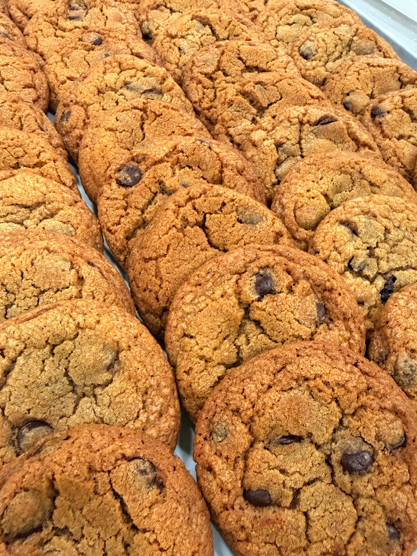 “CHOCOLATE CHIP COOKIES”